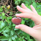 Petrified Wood Carved Puffed Gemstone