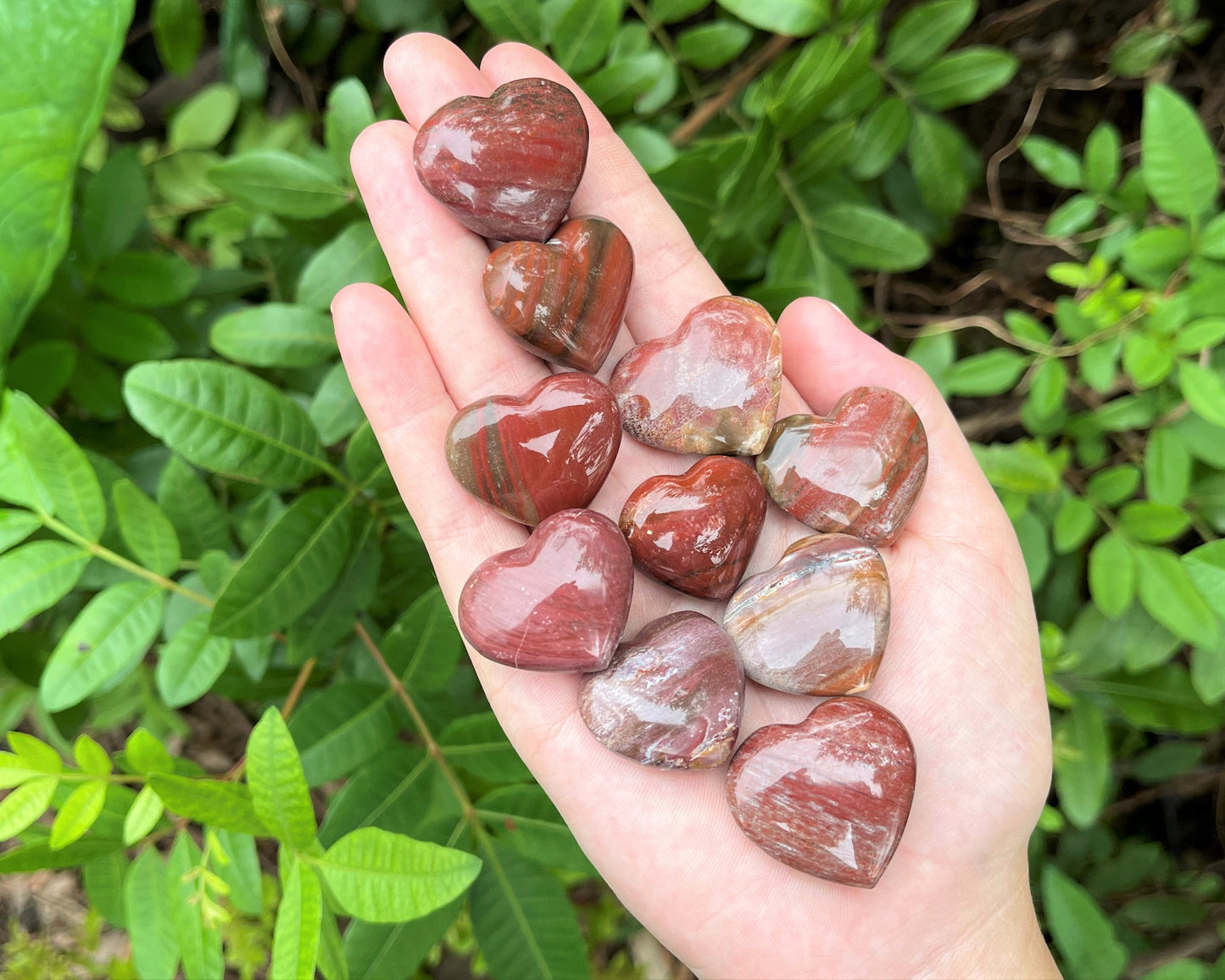 Petrified Wood Carved Puffed Gemstone