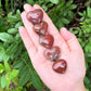 Petrified Wood Carved Puffed Gemstone