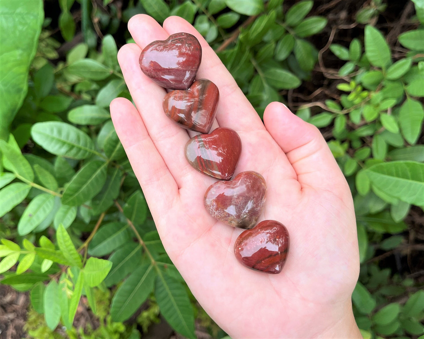 Petrified Wood Carved Puffed Gemstone