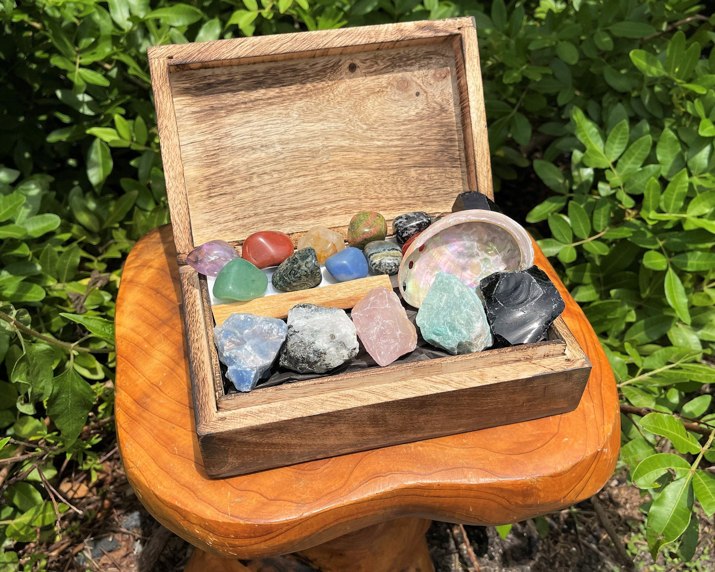 19 Piece Deluxe Crystal Kit Box Of Natural And Tumble Stones